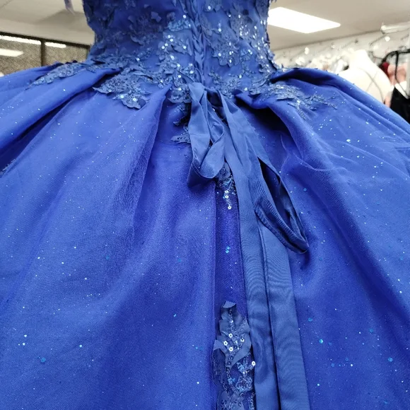 Elegant New Quinceañera Dress - Picture 9 of 11